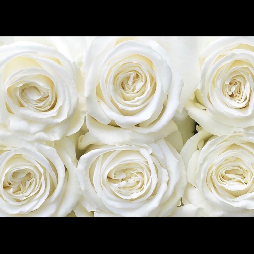 ✅Make an Offer or Bundle to Save!!